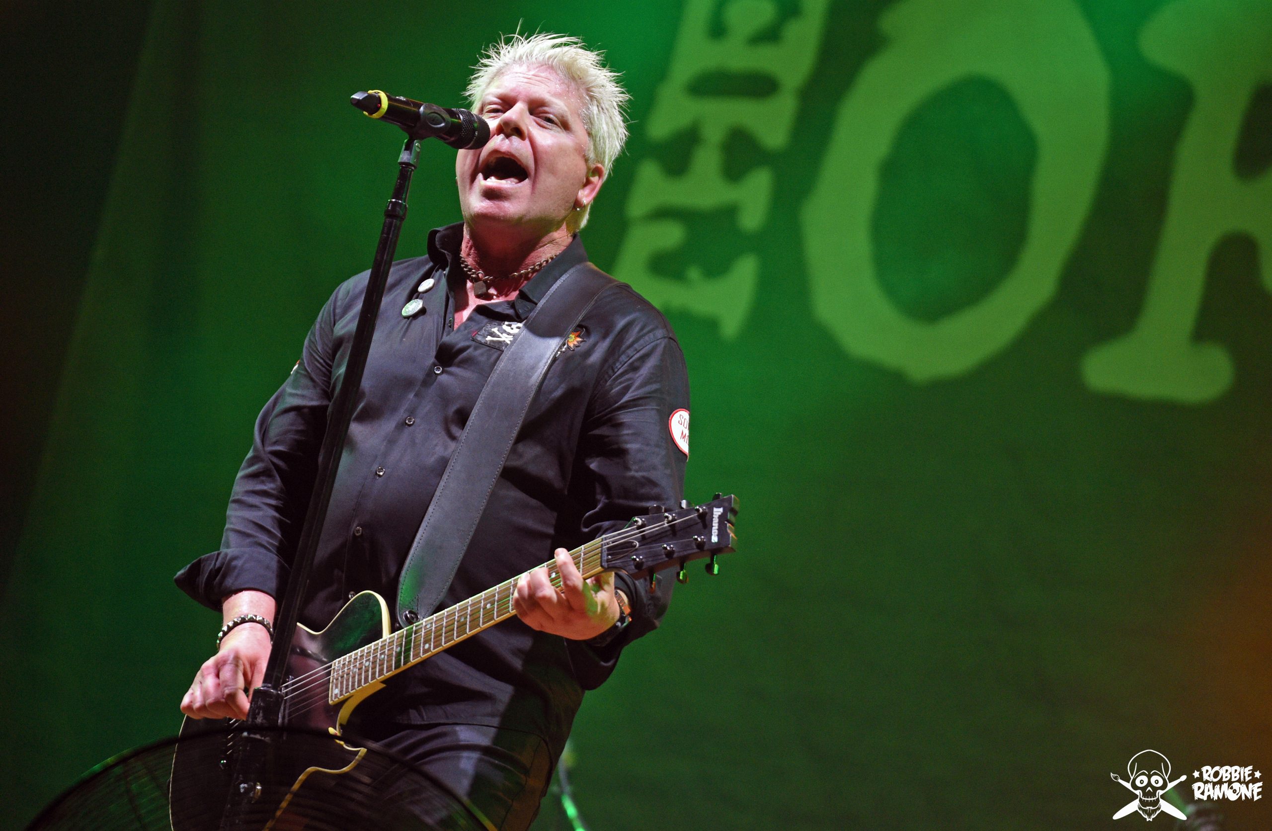 The Offspring8